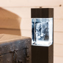 Colonne lumineuse à LED pour bloc de verre MEGA Portrait, Série "Pecan Black Brown" 