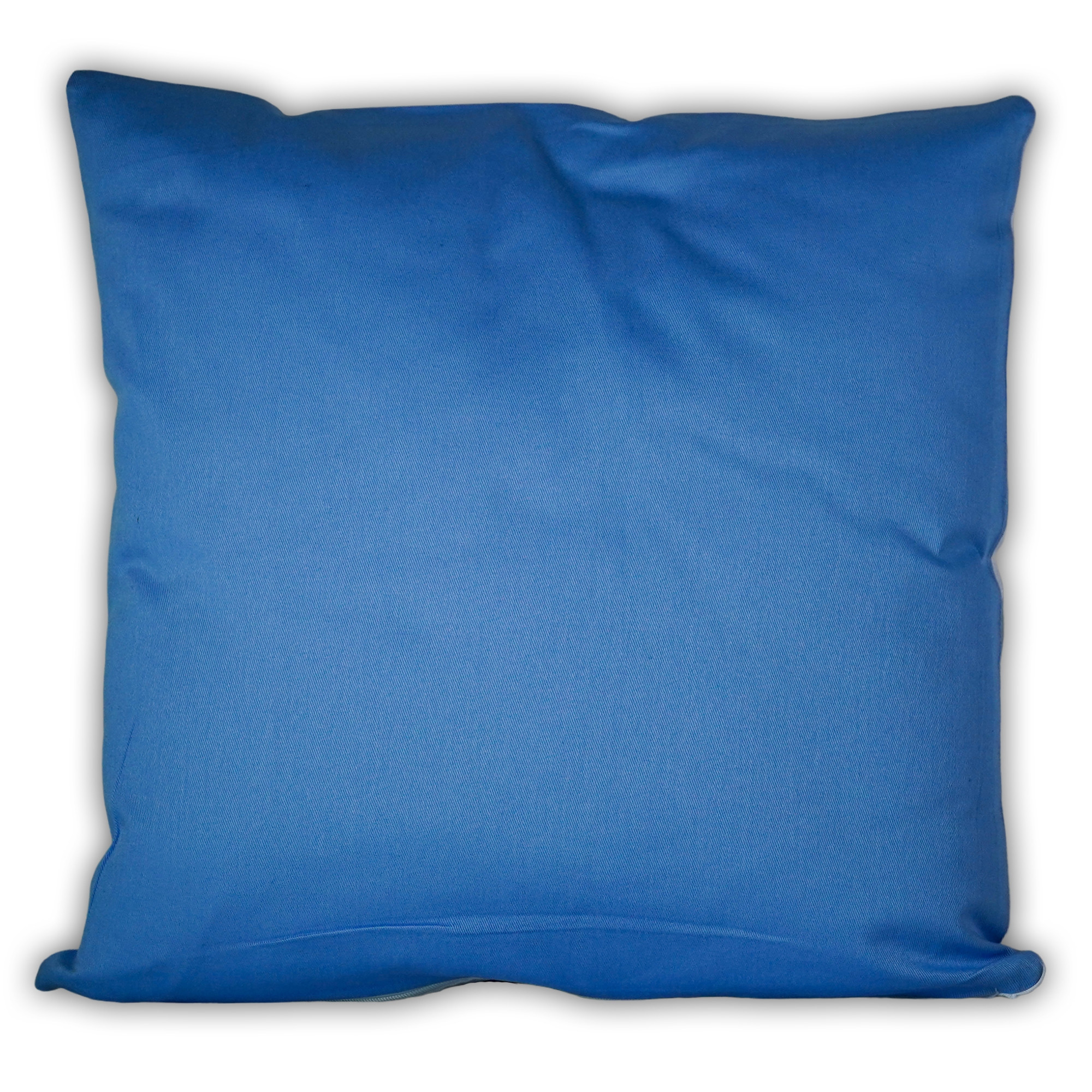 Coussin Bleu