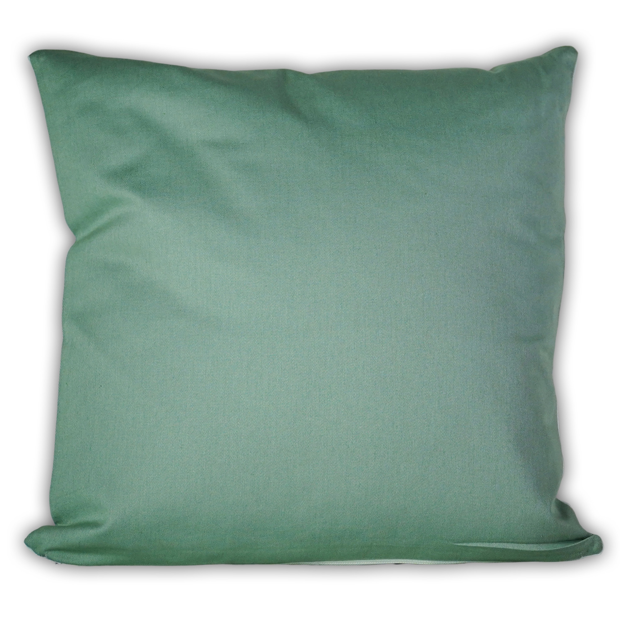 coussin vert 