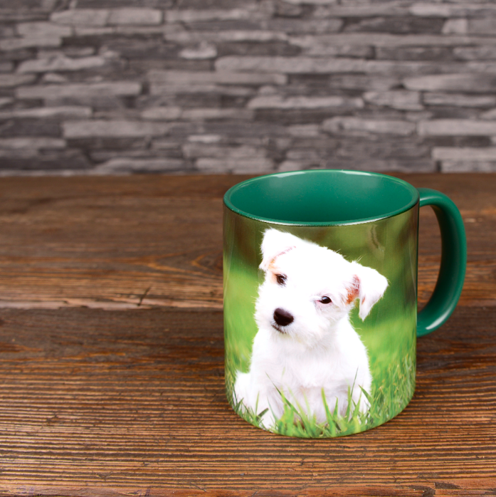 mug photo vert  foncé